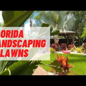 Florida Lawn & Landscaping Tips from a Pro