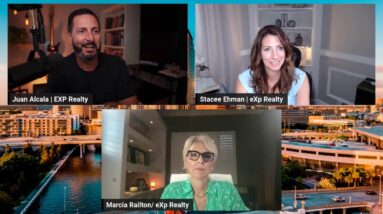 Discover the Top Things to Do in Tampa Bay with Tampa Talk Live!