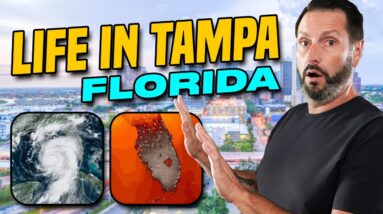 Essential Advice for Moving to Tampa, Florida: What Nobody Tells You