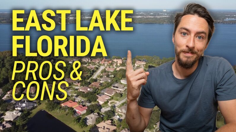 Exploring the Pros and Cons of East Lake, Florida: A Prominent Tampa Suburb