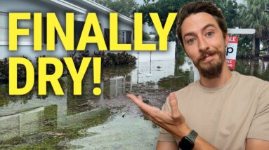 Latest Update on Flood Insurance in Tampa, Florida