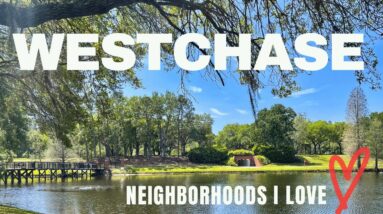 Pros and Cons of Living in Westchase: Exploring One of Tampa’s Most Popular Neighborhoods