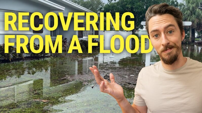 Experiencing a Major Flood Insurance Claim in Tampa: A Detailed Insight